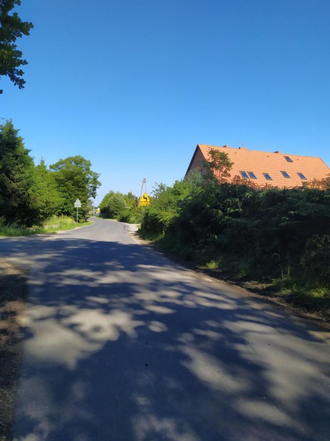 Chata Na Koncu Swiata Czaplin Maly Kültér fotó