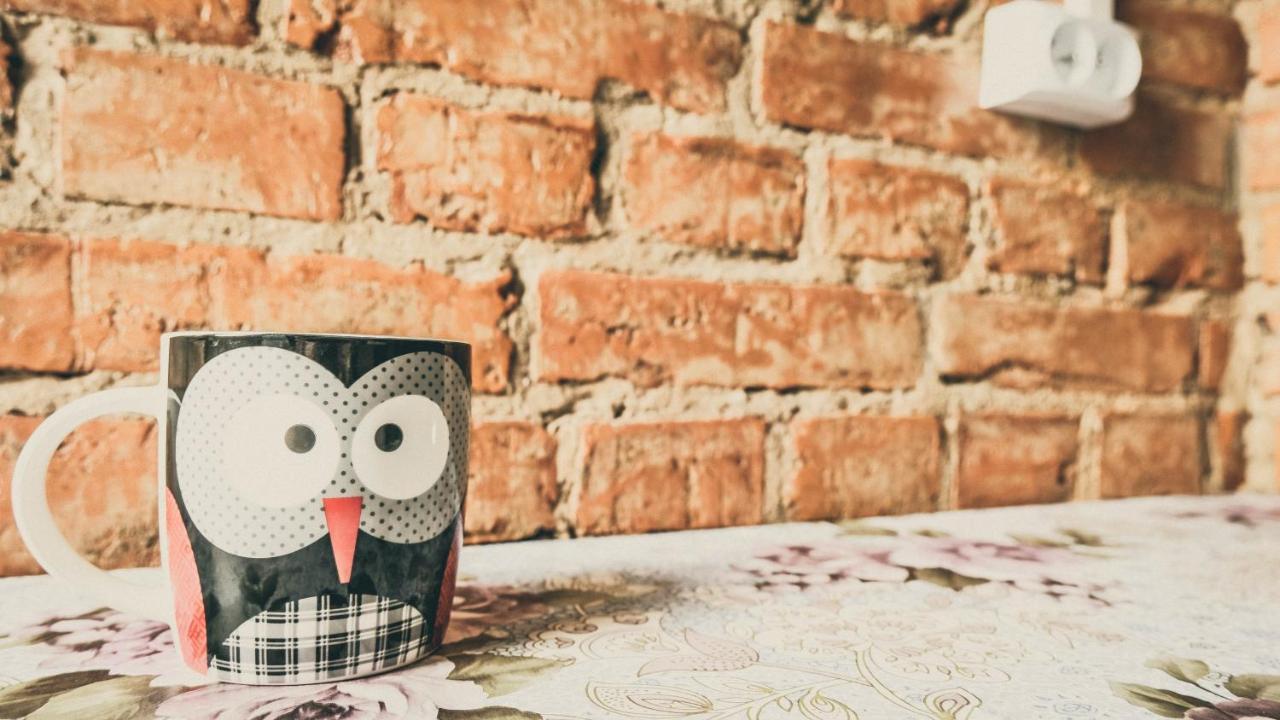 Chata Na Koncu Swiata Czaplin Maly Kültér fotó