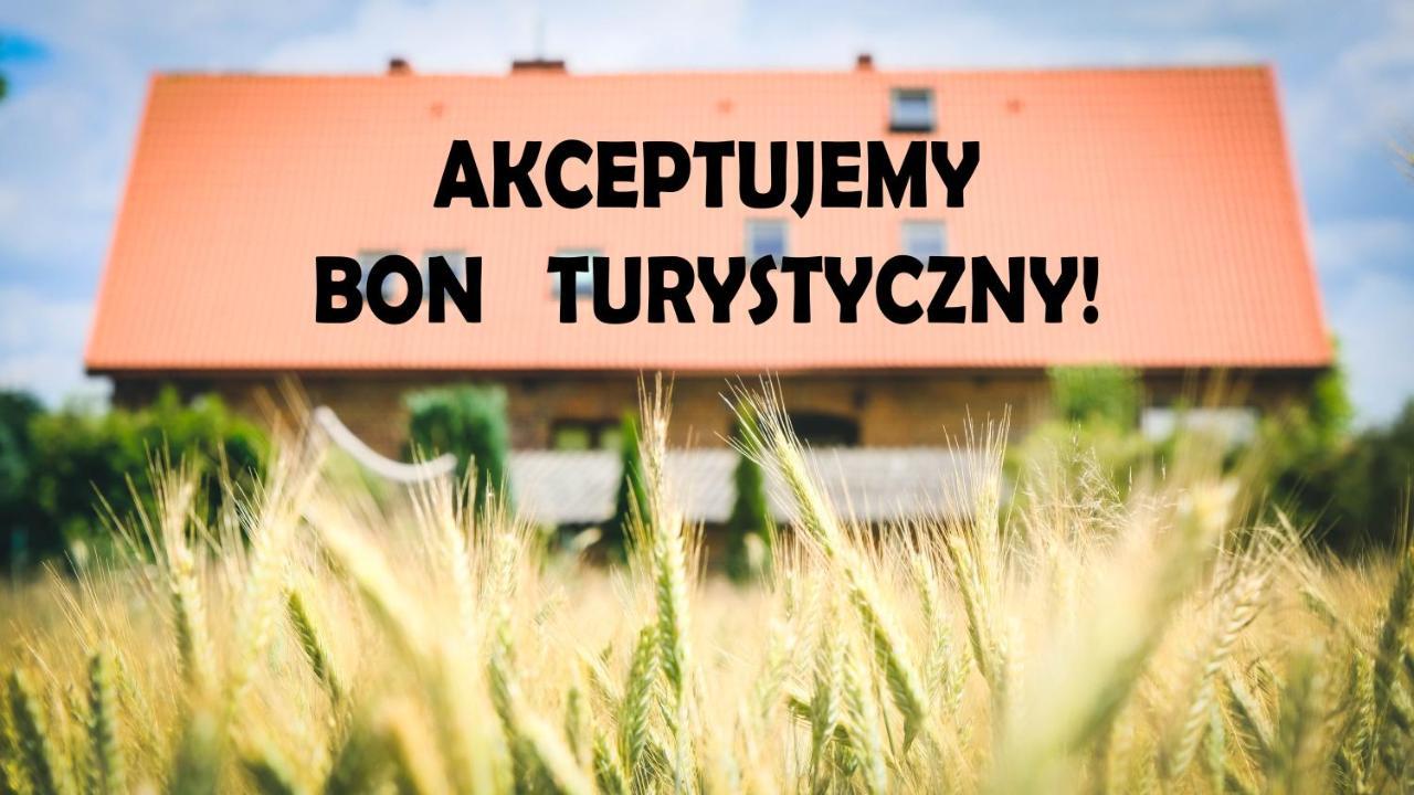 Chata Na Koncu Swiata Czaplin Maly Kültér fotó
